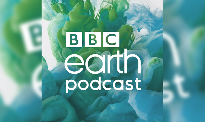 A BBC EARTH BLOG - 30 Animals That Made Us Smarter | POD BIBLE | THE  ESSENTIAL GUIDE TO PODCASTS