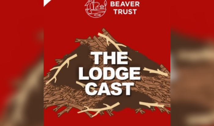 The Lodge cast
